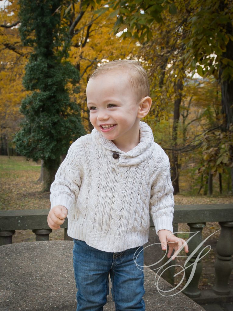 A young boy holding onto some wires in the park