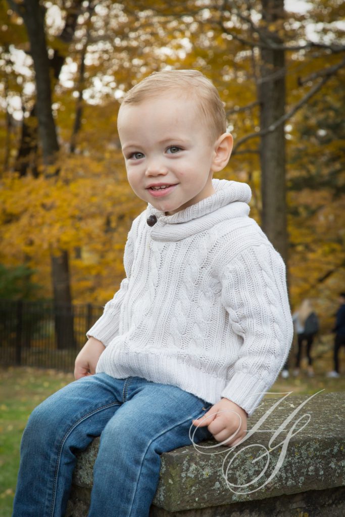 A young boy sitting on top of a tree.