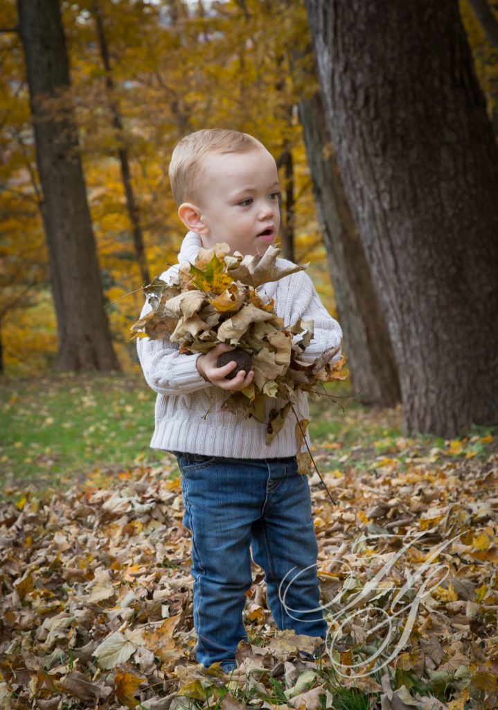 A young boy holding leaves in the woods.