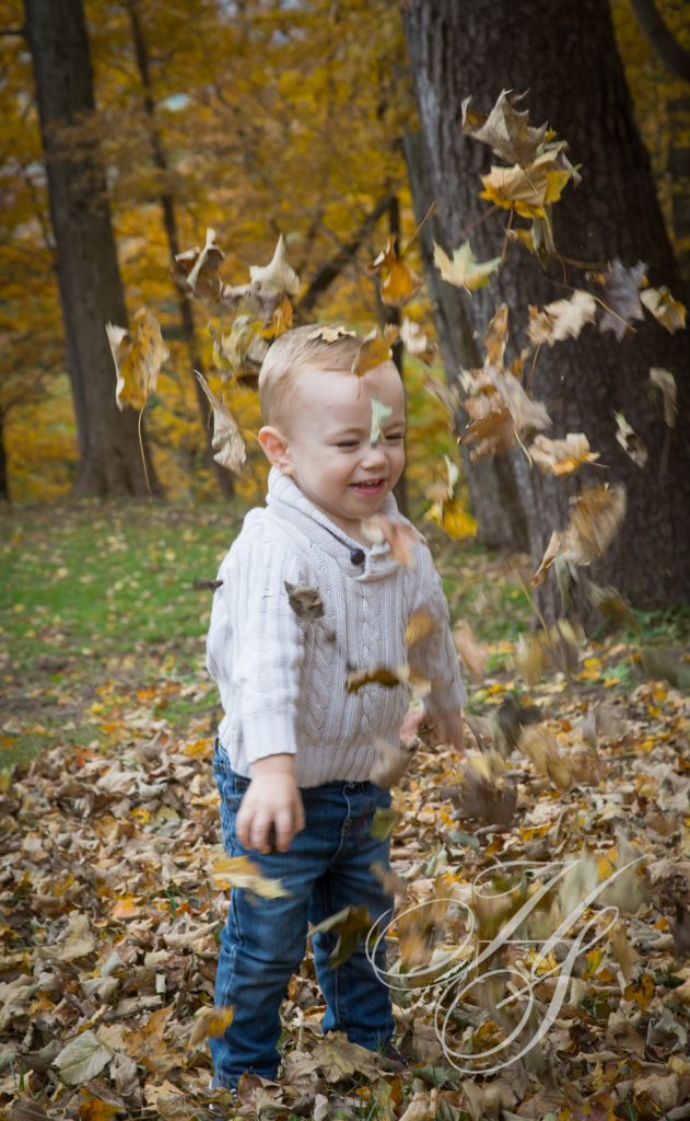A young boy is playing in the leaves.