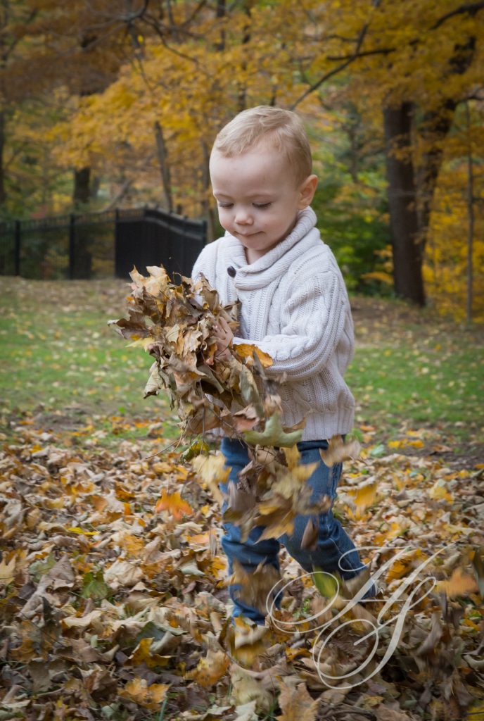 A young boy playing with leaves in the fall.