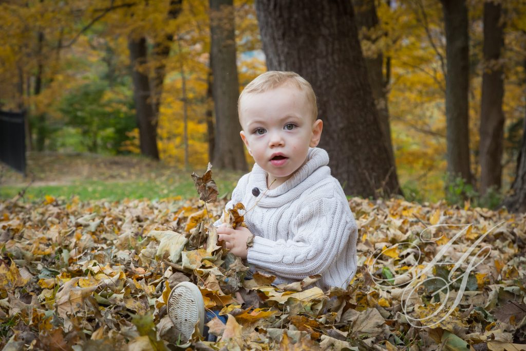 A baby in the leaves near a tree