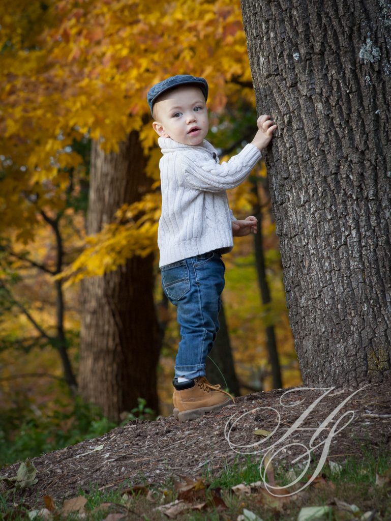 A young boy in the woods climbing on a tree.
