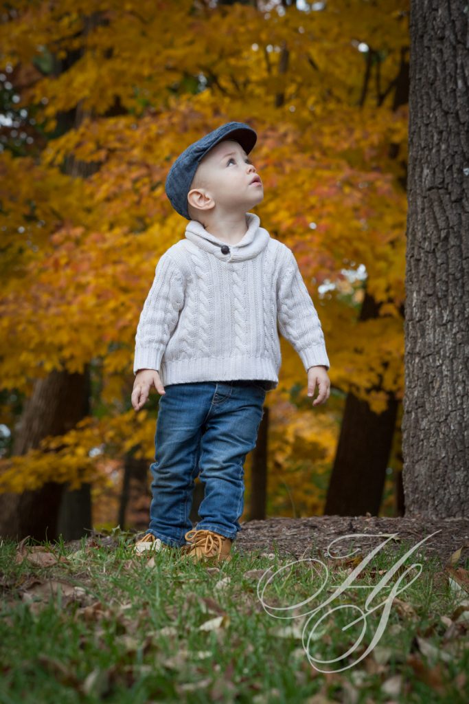 A young boy standing next to a tree looking up.